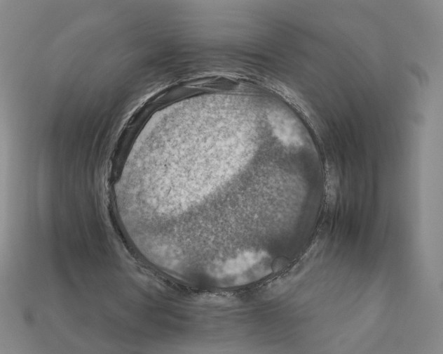 X0000111900386200909071140