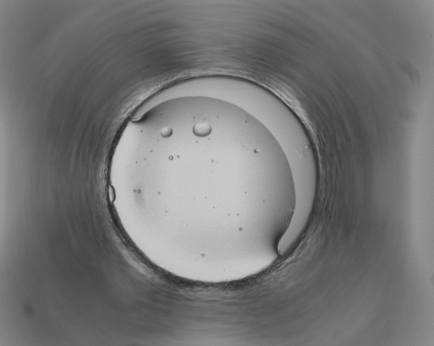 X0000111900389200909071140