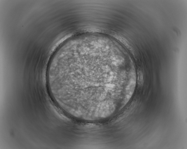 X0000111900390200909071140