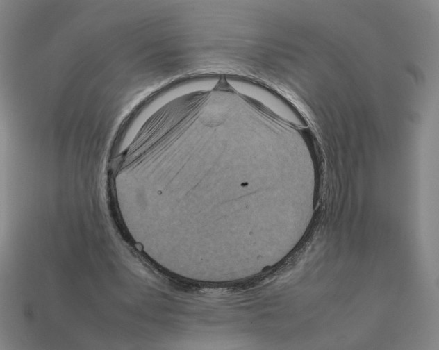 X0000111900391200909071140