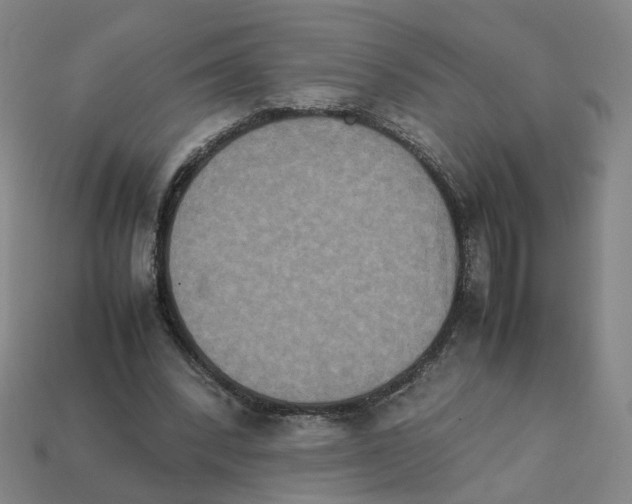 X0000111900392200909071140