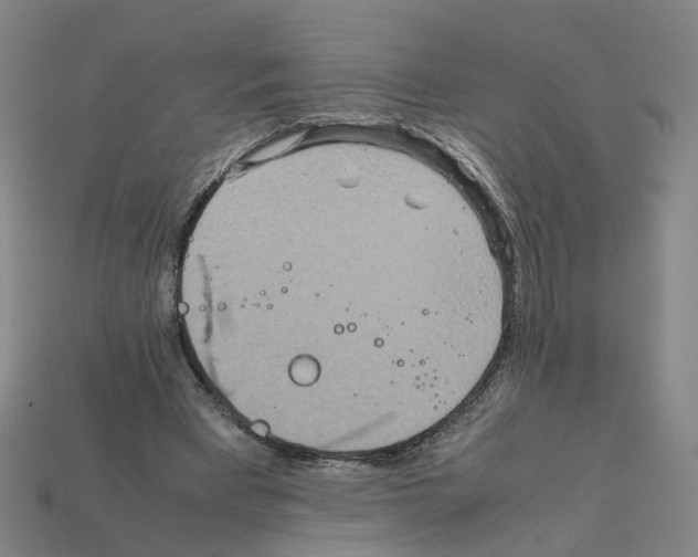 X0000111900393200909071140