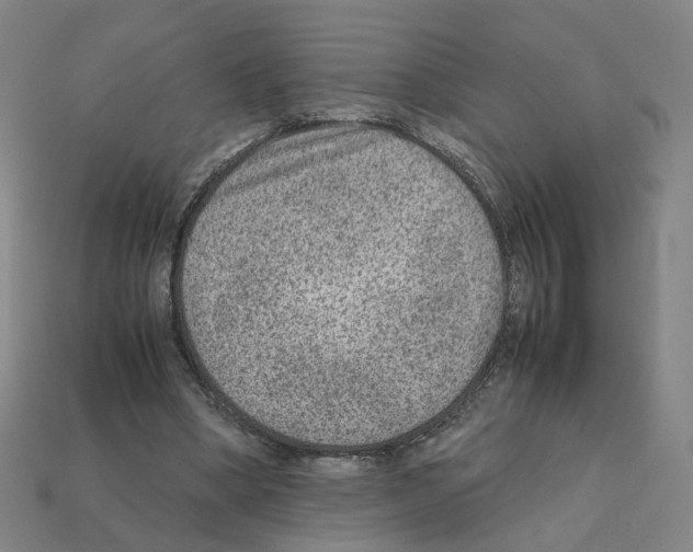 X0000111900394200909071140