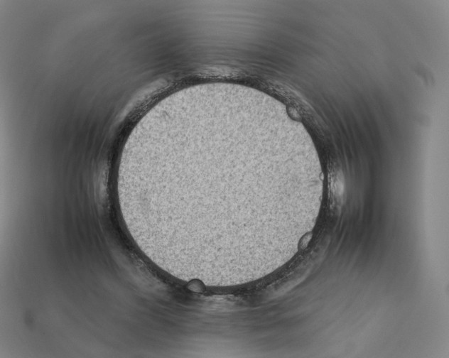 X0000111900396200909071140