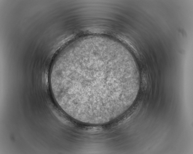 X0000111900398200909071140