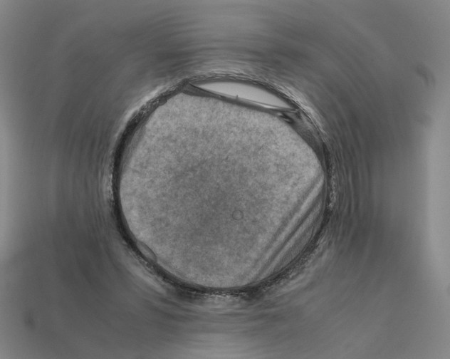 X0000111900399200909071140