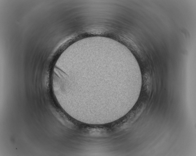 X0000111900400200909071140