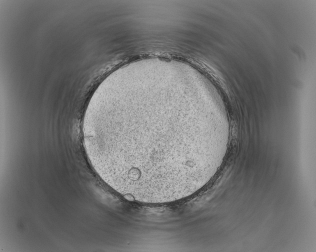 X0000111900401200909071140