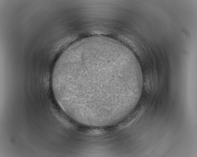 X0000111900402200909071140