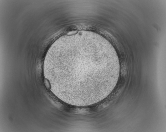 X0000111900405200909071140