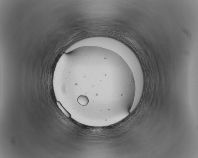 X0000111900409200909071140