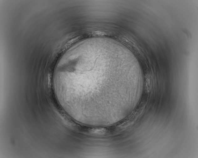 X0000111900410200909071140