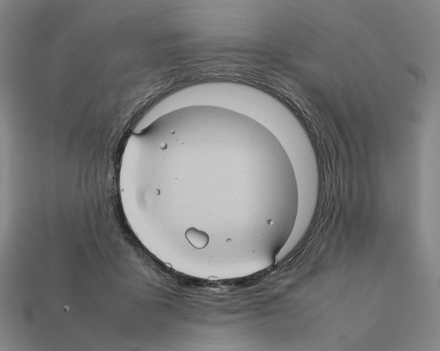 X0000111900411200909071140