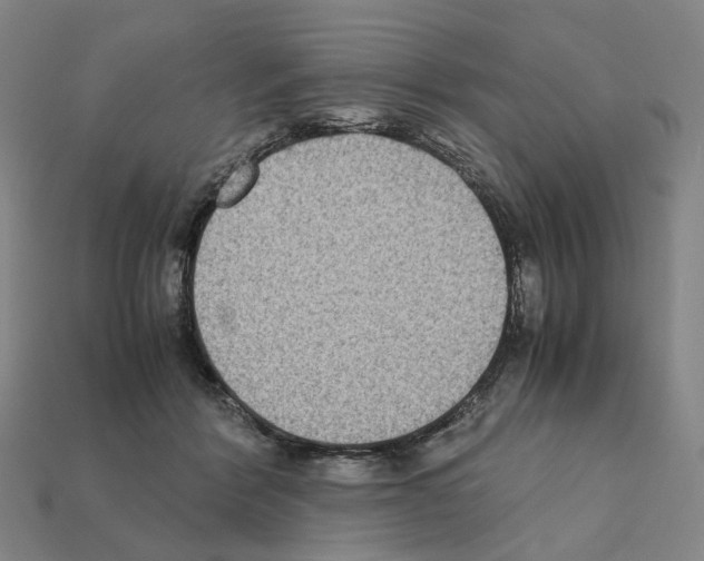 X0000111900412200909071140