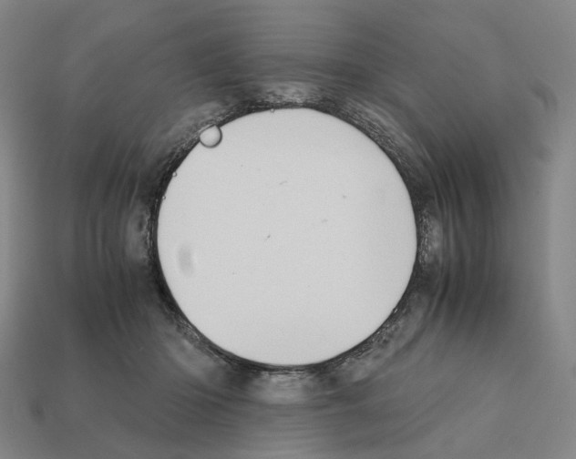 X0000111900414200909071140