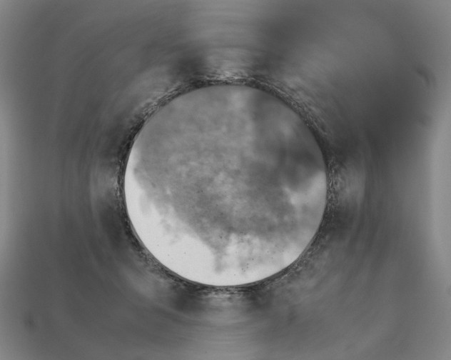 X0000111900415200909071140