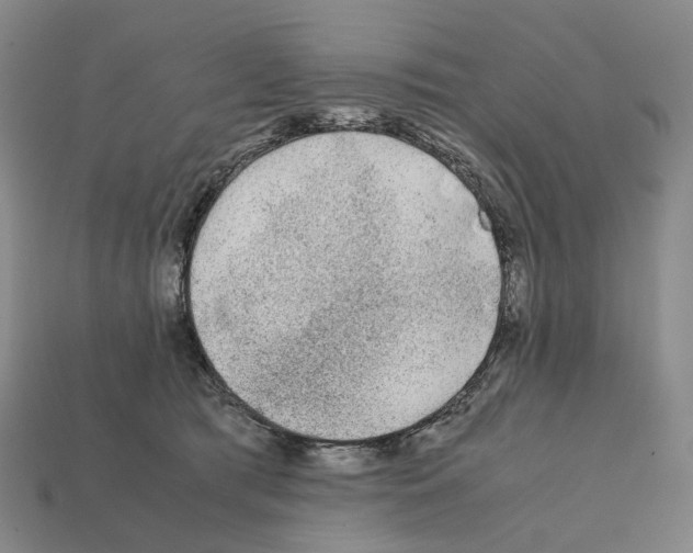 X0000111900417200909071140