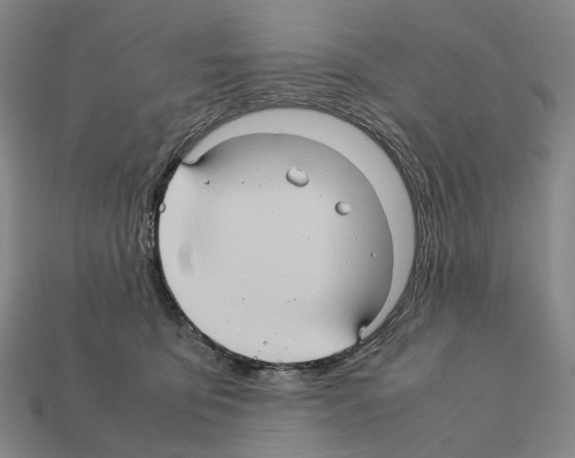 X0000111900419200909071140