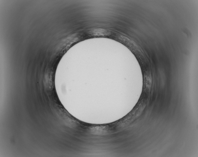 X0000111900422200909071140