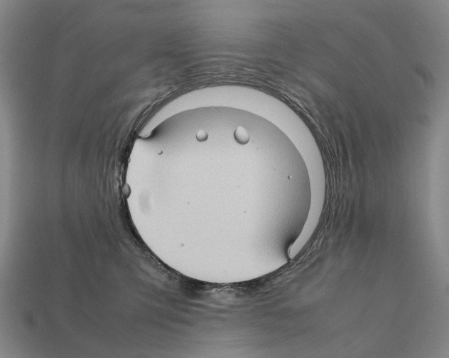 X0000111900423200909071140