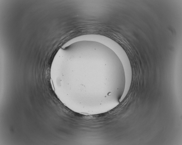 X0000111900425200909071140