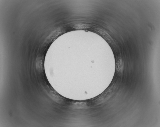 X0000111900426200909071139