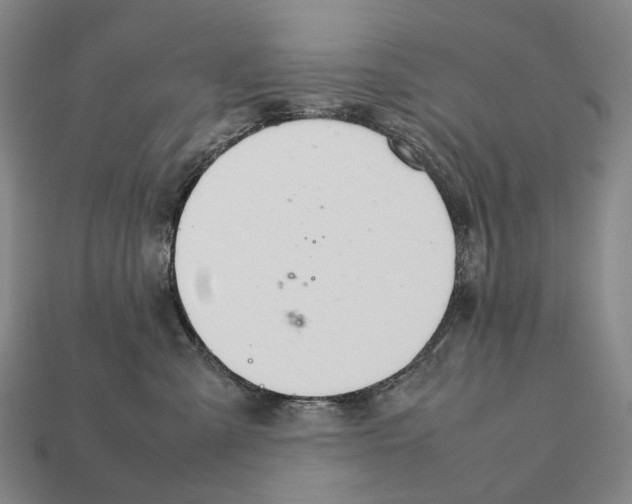 X0000111900427200909071139