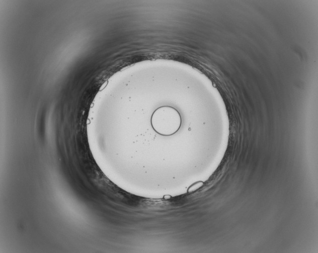 X0000111900429200909071139