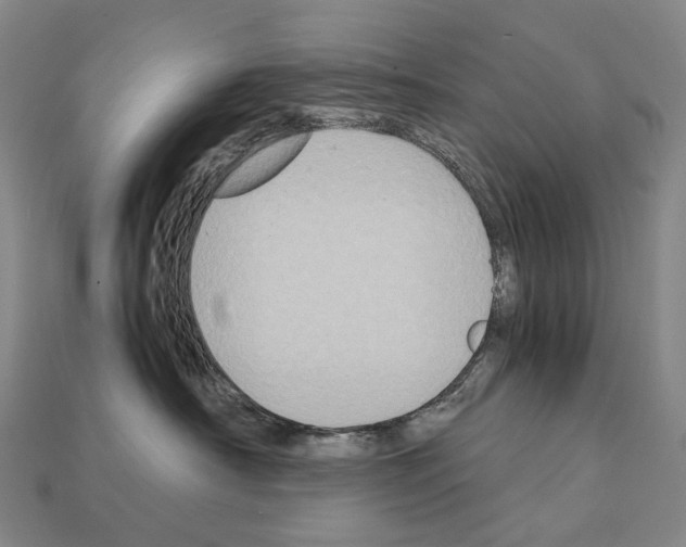 X0000111900430200909071139