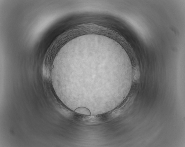 X0000111900431200909071139