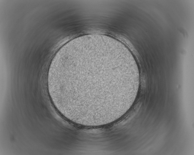 X0000111900433200909071139