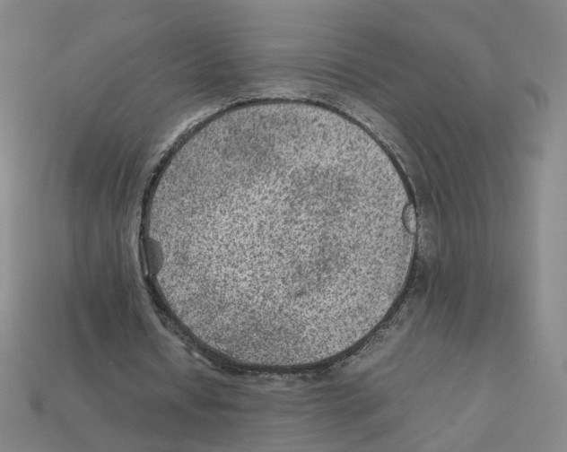 X0000111900434200909071139