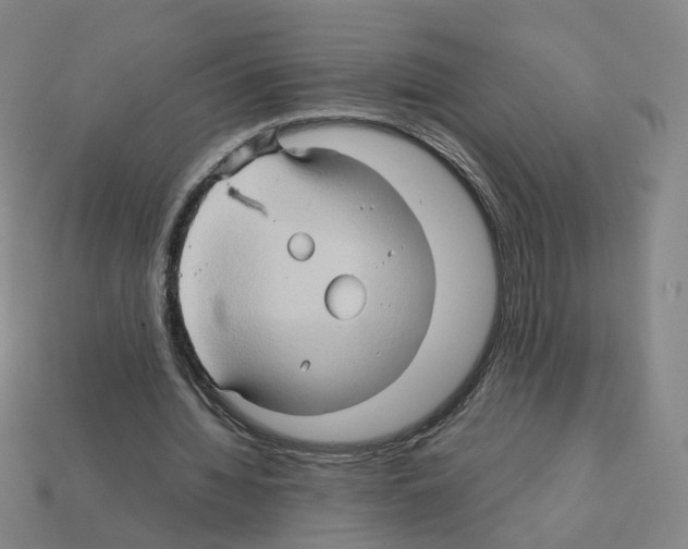 X0000111900436200909071139