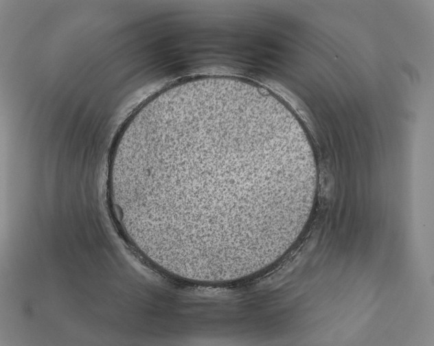 X0000111900437200909071139