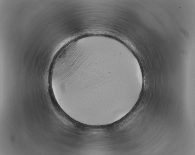 X0000111900438200909071139