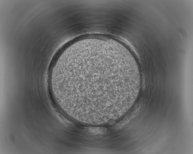 X0000111900439200909071139