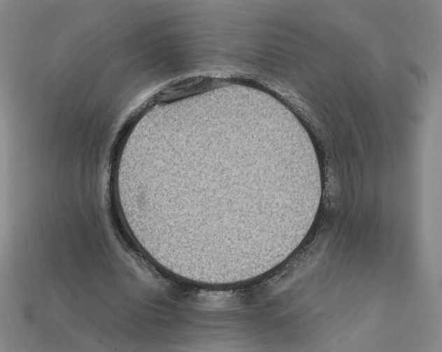 X0000111900440200909071139