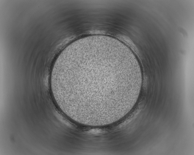 X0000111900441200909071139