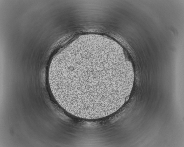 X0000111900442200909071139