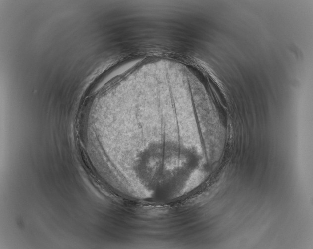 X0000111900443200909071139