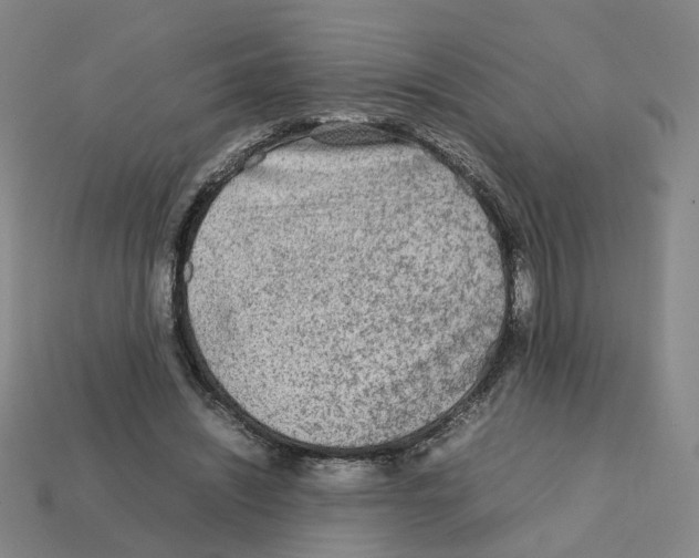 X0000111900444200909071139