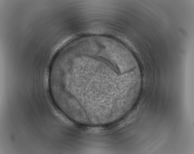 X0000111900446200909071139