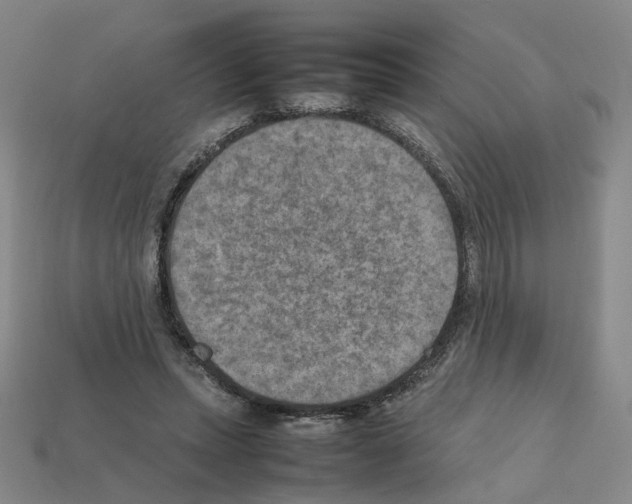 X0000111900447200909071139