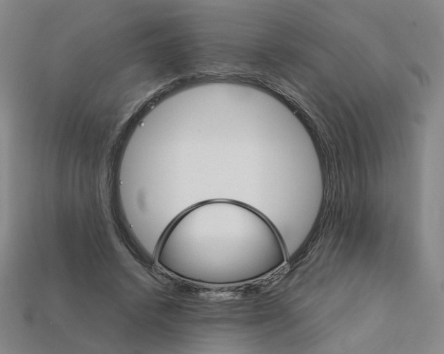 X0000111900448200909071139