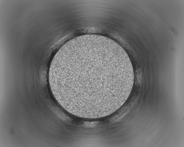 X0000111900450200909071139