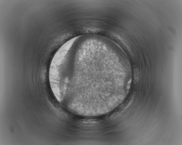 X0000111900451200909071139