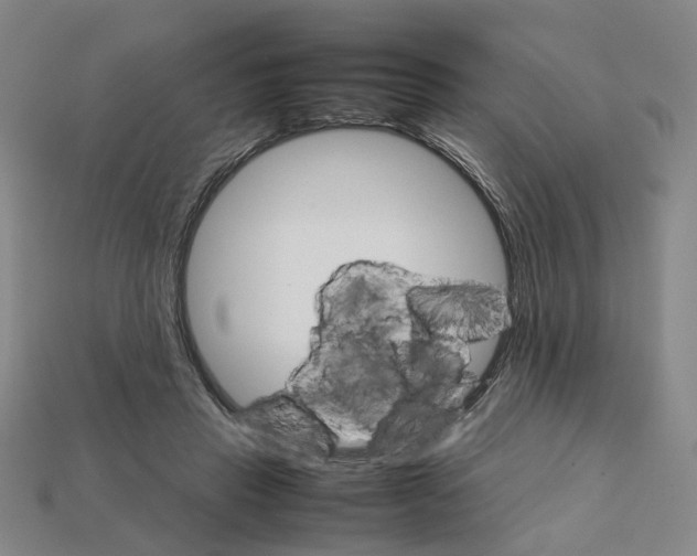 X0000111900453200909071139