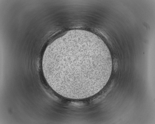 X0000111900455200909071139