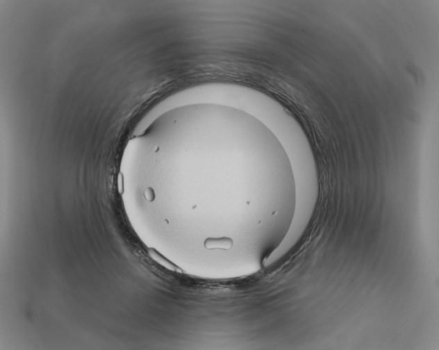 X0000111900456200909071139