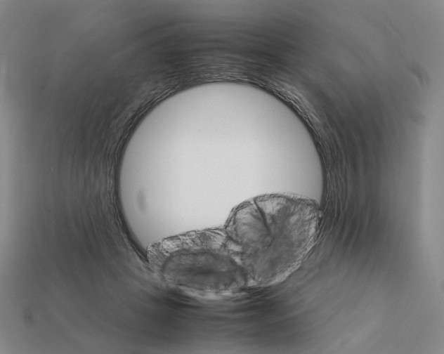 X0000111900457200909071139